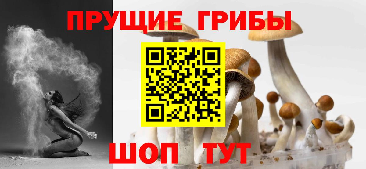Галлюциногенные грибы прущие грибы  Вход с VPN  Березники 